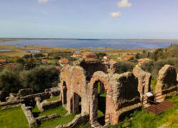 Massarosa