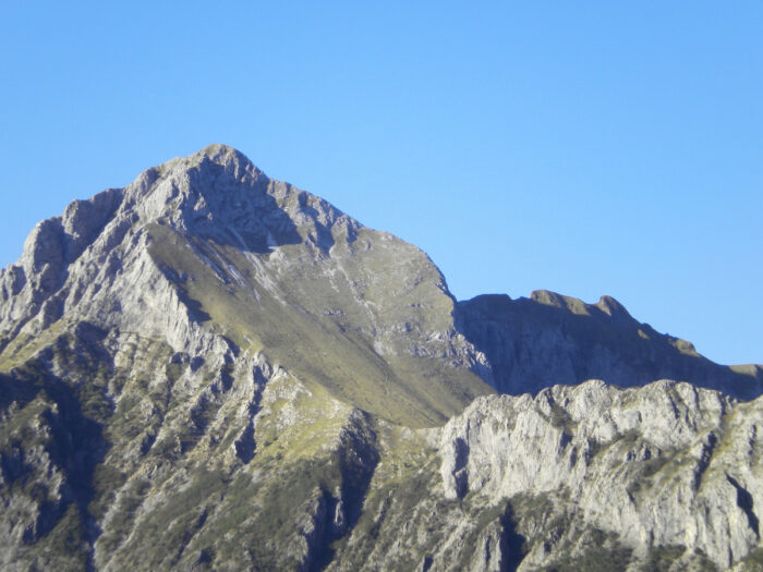 apuane