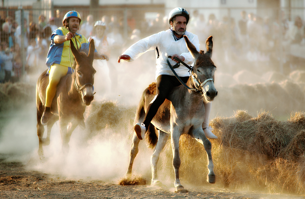 palio