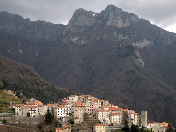 pruno alta versilia